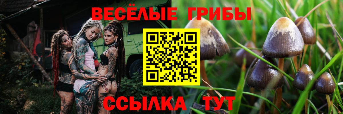Псилоцибиновые грибы Magic Shrooms  Псилоцибиновые грибы ЛСД  закладка  Вход с VPN  Новотроицк 